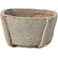 Pot à bonsaï carré bleu par Bonsai - 50 x 50 x 27 mm