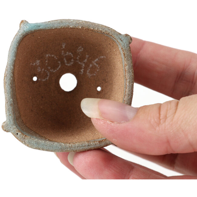 Pot à bonsaï carré bleu par Bonsai - 50 x 50 x 27 mm