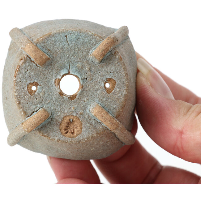 Pot à bonsaï carré bleu par Bonsai - 50 x 50 x 27 mm