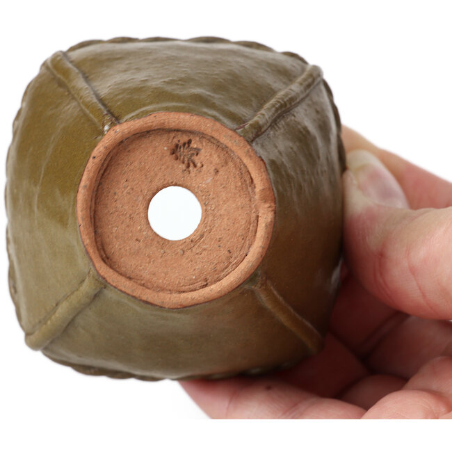 Quadratische olivgrüne Bonsaischale von Bonsai - 67 x 67 x 52 mm