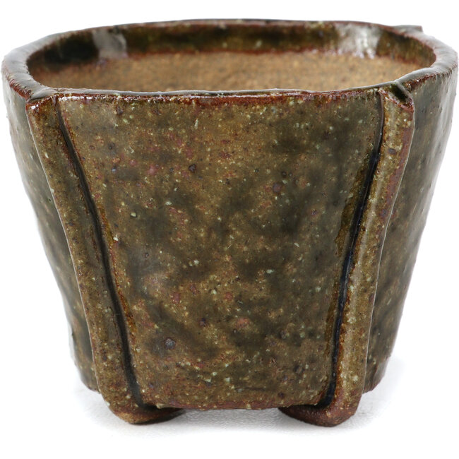 Maceta de bonsái verde cuadrada de Bonsai - 57 x 57 x 50 mm