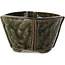 Pot à bonsaï carré vert par Bonsai - 55 x 55 x 37 mm