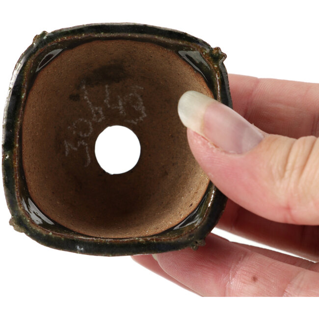 Vaso per bonsai quadrato verde di Bonsai - 55 x 55 x 37 mm