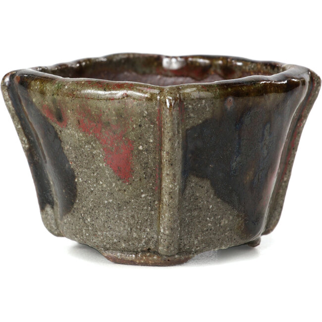 Square multicolor grey bonsai pot by Bonsai - 57 x 57 x 40 mm