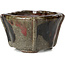 Square multicolor grey bonsai pot by Bonsai - 57 x 57 x 40 mm