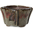 Square multicolor grey bonsai pot by Bonsai - 57 x 57 x 40 mm