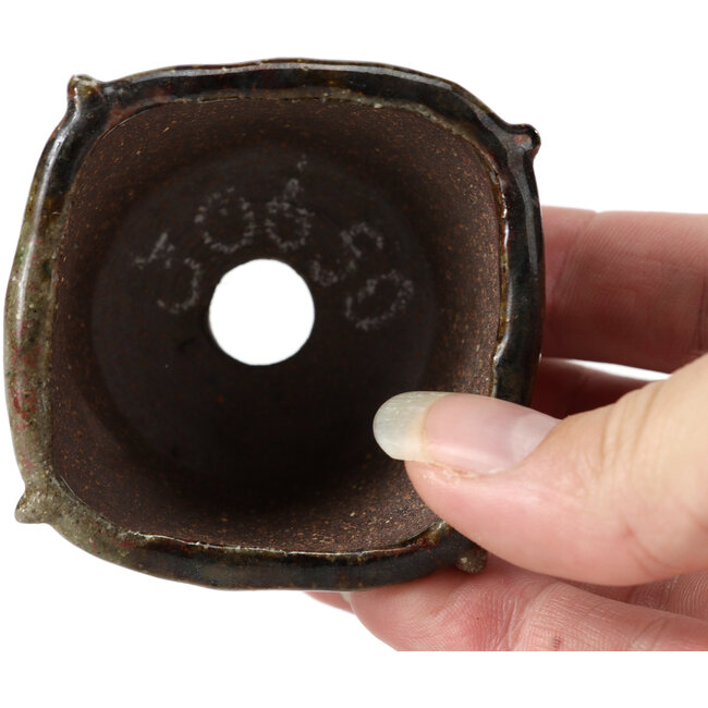 Maceta de bonsái cuadrada multicolor gris de Bonsai - 57 x 57 x 40 mm