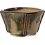 Pot à bonsaï carré vert multicolore par Bonsai - 60 x 60 x 38 mm