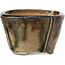 Square multicolor green bonsai pot by Bonsai - 60 x 60 x 38 mm