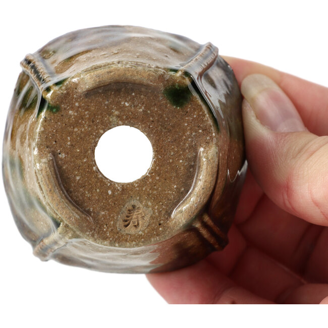 Vierkante multicolor groene bonsaipot van Bonsai - 60 x 60 x 38 mm