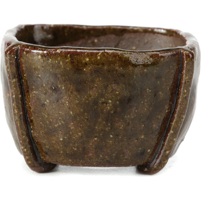 Maceta de bonsái verde cuadrada de Bonsai - 60 x 60 x 40 mm