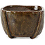 Pot à bonsaï carré vert par Bonsai - 60 x 60 x 40 mm
