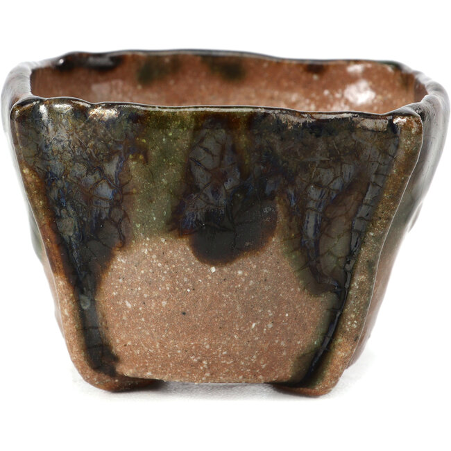 Maceta de bonsái verde cuadrada de Bonsai - 65 x 65 x 45 mm