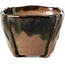 Pot à bonsaï carré vert par Bonsai - 65 x 65 x 45 mm