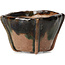 Square green bonsai pot by Bonsai - 65 x 65 x 45 mm