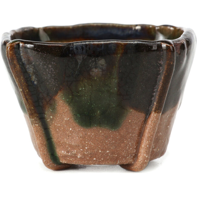 Maceta de bonsái verde cuadrada de Bonsai - 65 x 65 x 45 mm