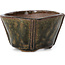 Pot à bonsaï carré vert par Bonsai - 57 x 57 x 36 mm