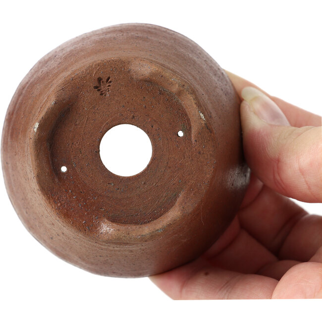 Runde braune Bonsaischale von Bonsai - 73 x 73 x 46 mm