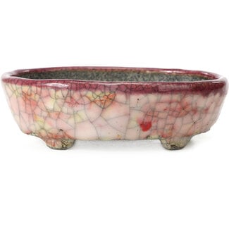  Bunzan 140 mm oval pink bonsai pot by Bunzan, Tokoname, Japan