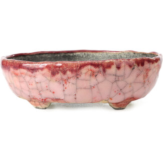 Bunzan 138 mm oval pink bonsai pot by Bunzan, Tokoname, Japan