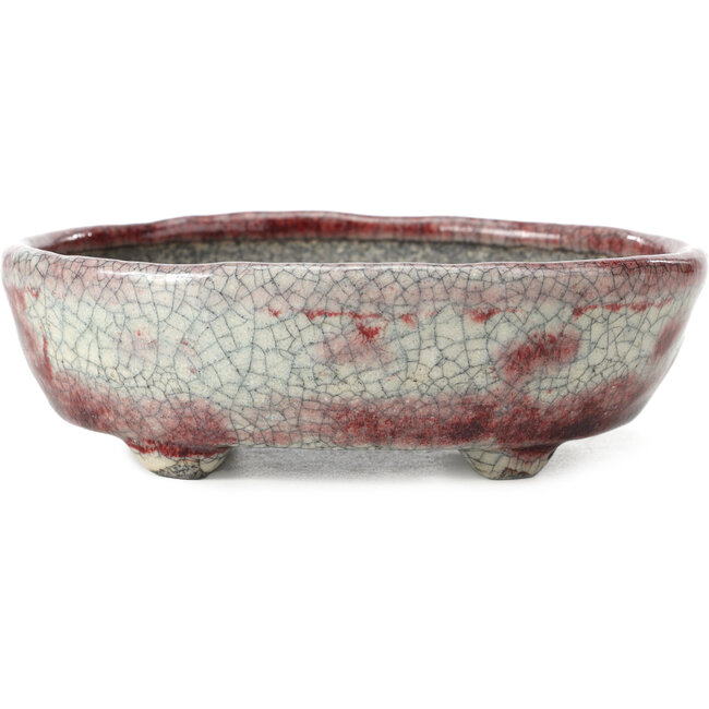 Oval white craquelé with red bonsai pot by Bunzan - 145 x 121 x 45 mm