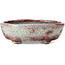 Oval white craquelé with red bonsai pot by Bunzan - 145 x 121 x 45 mm