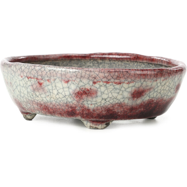 Craquelé blanc ovale avec pot à bonsaï rouge par Bunzan - 145 x 121 x 45 mm