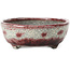 Craquelé ovale bianco con vaso bonsai rosso di Bunzan - 145 x 121 x 45 mm