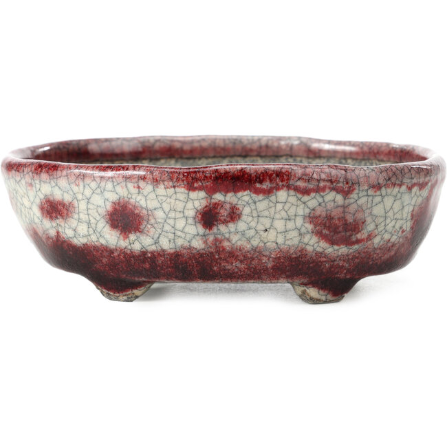 Ovales weißes Craquelé mit roter Bonsaischale von Bunzan - 145 x 121 x 45 mm