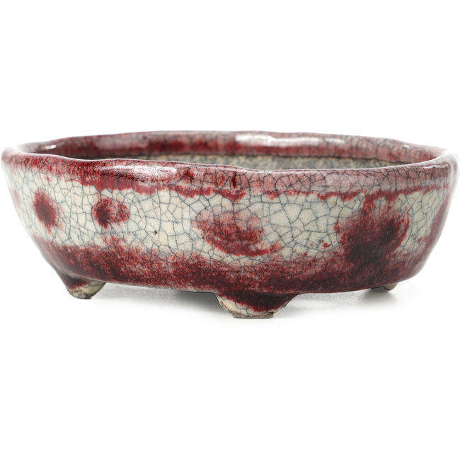 Craquelé ovale bianco con vaso bonsai rosso di Bunzan - 145 x 121 x 45 mm