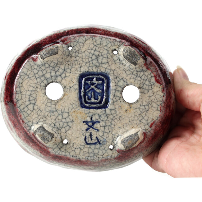 Oval white craquelé with red bonsai pot by Bunzan - 145 x 121 x 45 mm