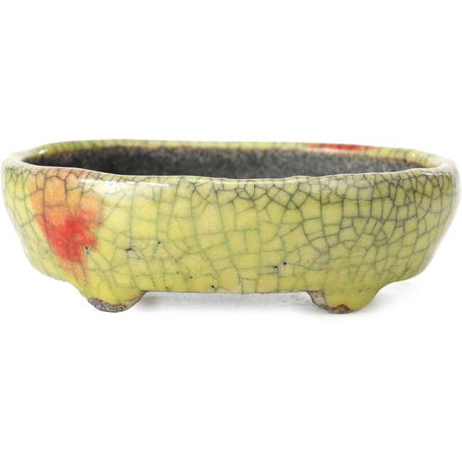 Oval yellow bonsai pot by Bunzan - 111 x 95 x 36 mm