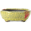 Oval yellow bonsai pot by Bunzan - 111 x 95 x 36 mm