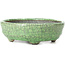 Oval green bonsai pot by Bunzan - 126 x 106 x 41 mm