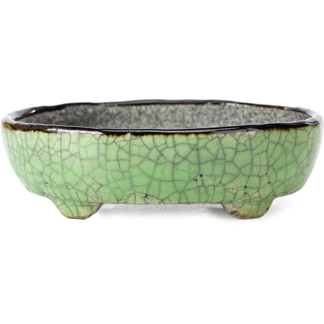 Pot à bonsaï vert ovale par Bunzan - 124 x 103 x 40 mm