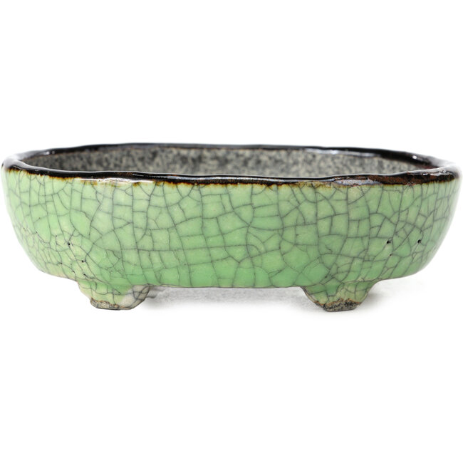 Pot à bonsaï vert ovale par Bunzan - 124 x 103 x 40 mm