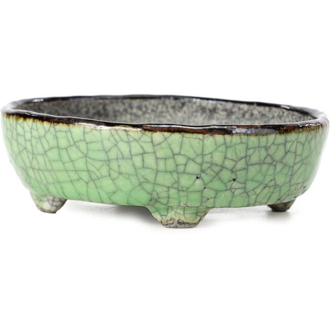 Oval green bonsai pot by Bunzan - 124 x 103 x 40 mm