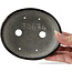Pot à bonsaï vert ovale par Bunzan - 124 x 103 x 40 mm