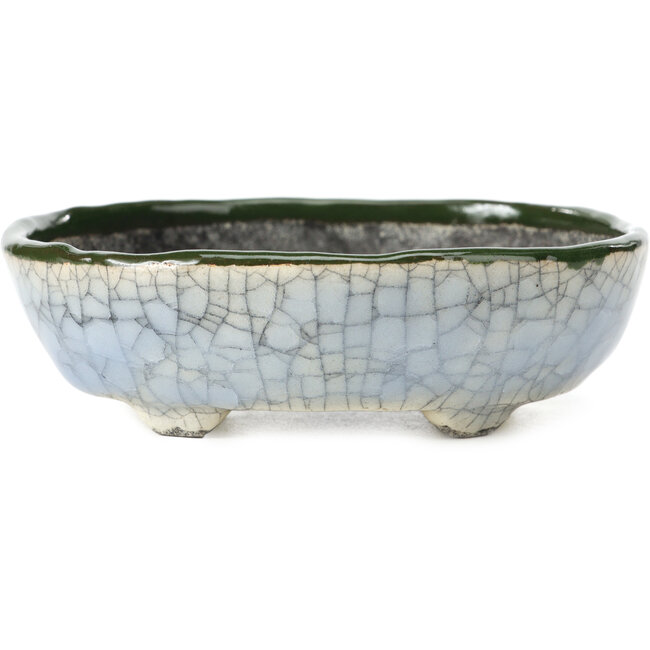 Maceta de bonsái ovalada azul con verde de Bunzan - 122 x 104 x 40 mm