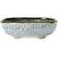 Pot à bonsaï ovale bleu et vert par Bunzan - 122 x 104 x 40 mm
