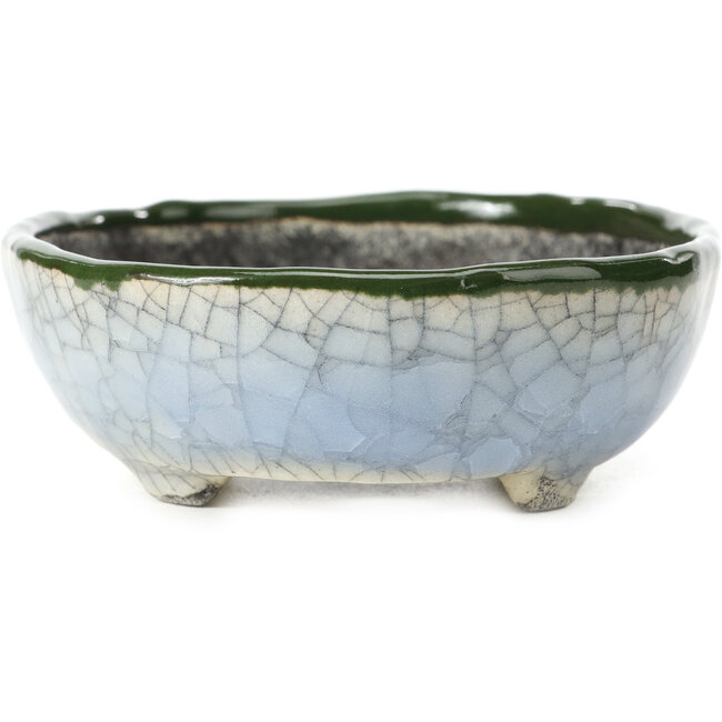 Maceta de bonsái ovalada azul con verde de Bunzan - 122 x 104 x 40 mm