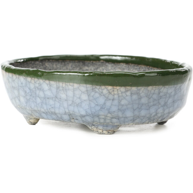 Maceta de bonsái ovalada azul con verde de Bunzan - 130 x 107 x 43 mm
