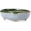 Vaso per bonsai ovale blu con verde di Bunzan - 130 x 107 x 43 mm