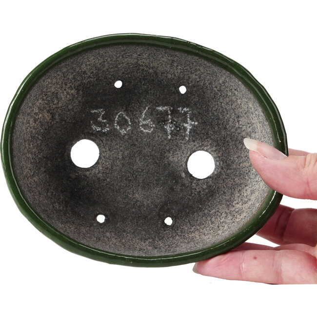 Vaso per bonsai ovale blu con verde di Bunzan - 130 x 107 x 43 mm