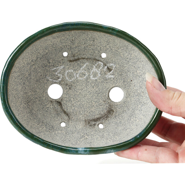 Vaso per bonsai ovale blu con verde di Bunzan - 143 x 115 x 45 mm