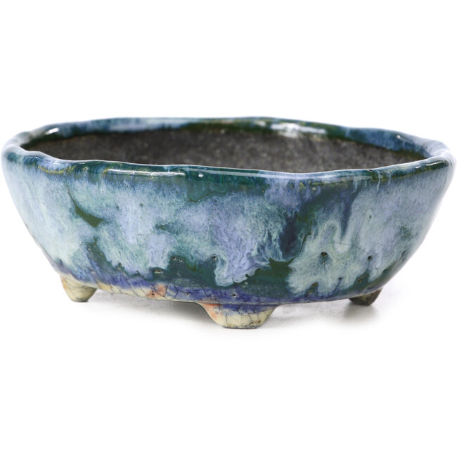 Vaso per bonsai ovale blu con verde di Bunzan - 115 x 100 x 40 mm