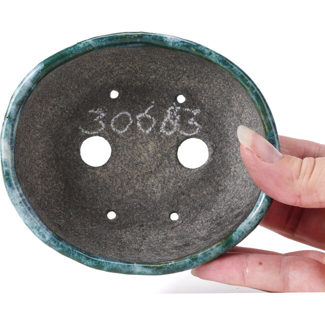 Vaso per bonsai ovale blu con verde di Bunzan - 115 x 100 x 40 mm
