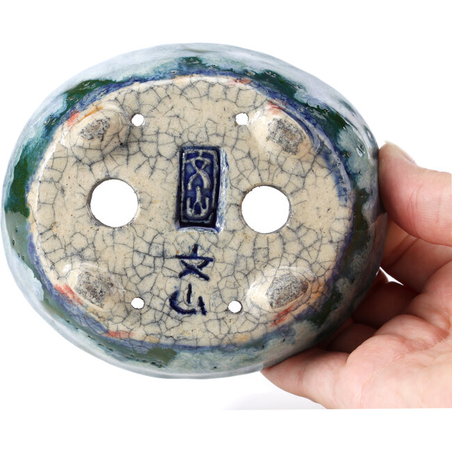 Maceta de bonsái ovalada azul con verde de Bunzan - 115 x 100 x 40 mm