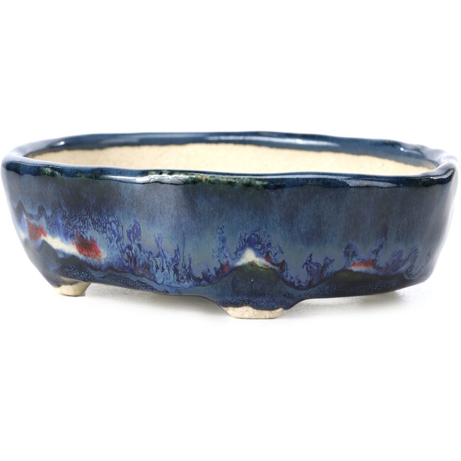 Maceta de bonsái azul ovalada de Bunzan - 128 x 105 x 36 mm