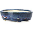 Pot à bonsaï ovale bleu par Bunzan - 128 x 105 x 36 mm